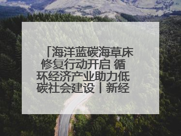海洋蓝碳海草床修复行动开启 循环经济产业助力低碳社会建设丨新经济观察
