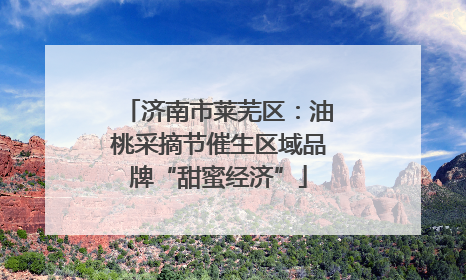 济南市莱芜区：油桃采摘节催生区域品牌“甜蜜经济”