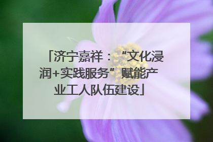 济宁嘉祥：“文化浸润+实践服务”赋能产业工人队伍建设