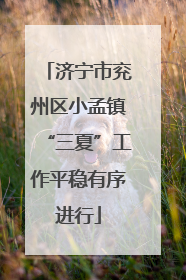 济宁市兖州区小孟镇“三夏”工作平稳有序进行