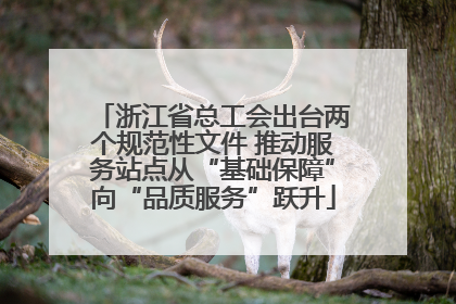 浙江省总工会出台两个规范性文件 推动服务站点从“基础保障”向“品质服务”跃升