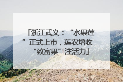 浙江武义：“水果莲”正式上市，莲农增收“致富果”注活力