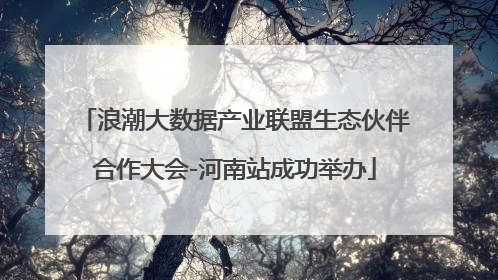 浪潮大数据产业联盟生态伙伴合作大会-河南站成功举办