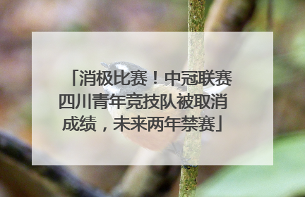 消极比赛！中冠联赛四川青年竞技队被取消成绩，未来两年禁赛
