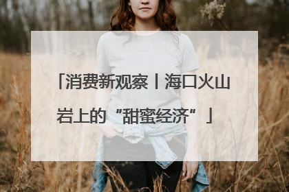 消费新观察丨海口火山岩上的“甜蜜经济”