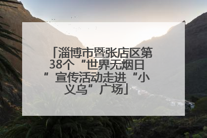 淄博市暨张店区第38个“世界无烟日”宣传活动走进“小义乌”广场
