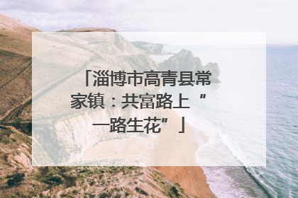 淄博市高青县常家镇：共富路上“一路生花”