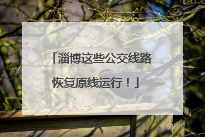 淄博这些公交线路恢复原线运行！