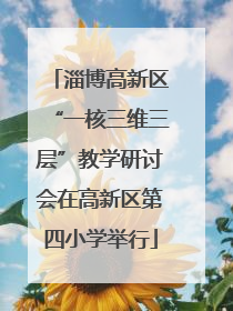 淄博高新区“一核三维三层”教学研讨会在高新区第四小学举行
