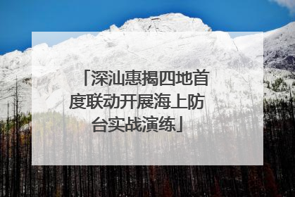 深汕惠揭四地首度联动开展海上防台实战演练
