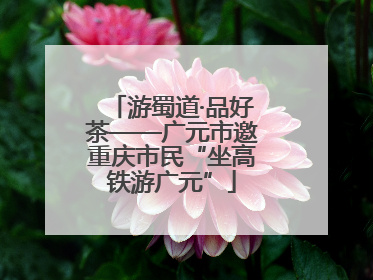游蜀道·品好茶——广元市邀重庆市民“坐高铁游广元”