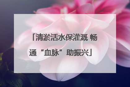 清淤活水保灌溉 畅通“血脉”助振兴