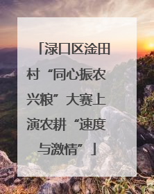 渌口区淦田村“同心振农兴粮”大赛上演农耕“速度与激情”