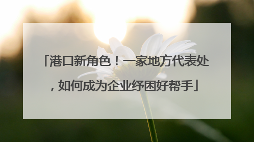 港口新角色！一家地方代表处，如何成为企业纾困好帮手