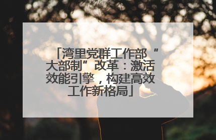 湾里党群工作部“大部制”改革：激活效能引擎，构建高效工作新格局
