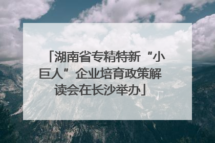 湖南省专精特新“小巨人”企业培育政策解读会在长沙举办