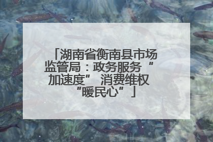 湖南省衡南县市场监管局：政务服务“加速度” 消费维权“暖民心”