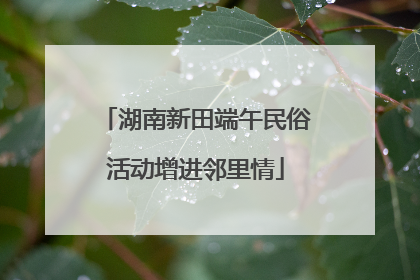 湖南新田端午民俗活动增进邻里情
