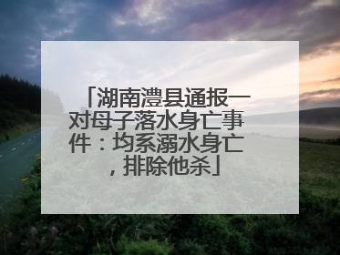湖南澧县通报一对母子落水身亡事件：均系溺水身亡，排除他杀