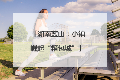 湖南蓝山：小镇崛起“箱包城”