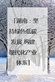 湖南：坚持绿色低碳发展 构建现代化产业体系