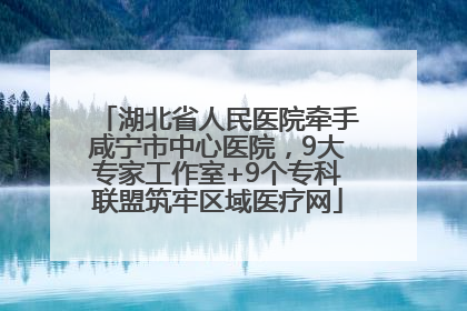 湖北省人民医院牵手咸宁市中心医院，9大专家工作室+9个专科联盟筑牢区域医疗网