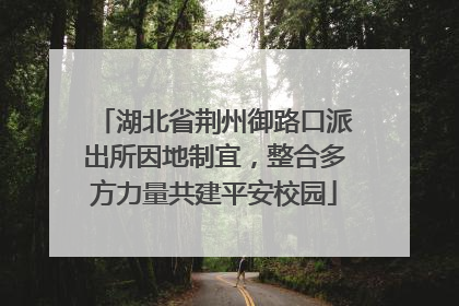 湖北省荆州御路口派出所因地制宜，整合多方力量共建平安校园