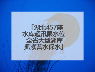 湖北457座水库超汛限水位 全省大型湖库抓紧蓄水保水