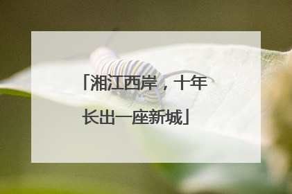 湘江西岸，十年长出一座新城