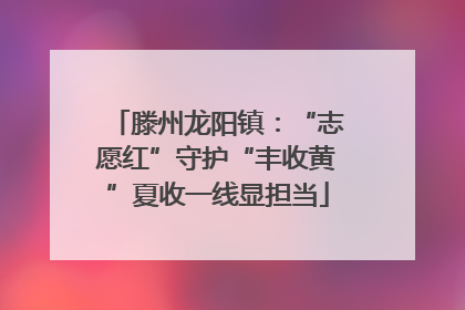 滕州龙阳镇：“志愿红”守护“丰收黄”夏收一线显担当