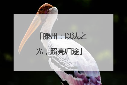 滕州：以法之光，照亮归途