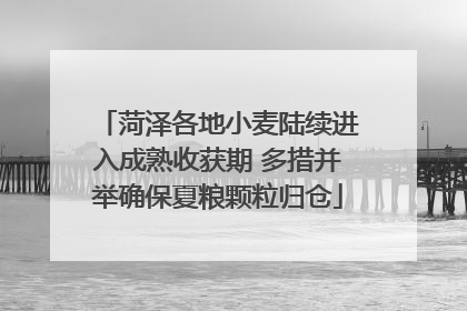 菏泽各地小麦陆续进入成熟收获期 多措并举确保夏粮颗粒归仓