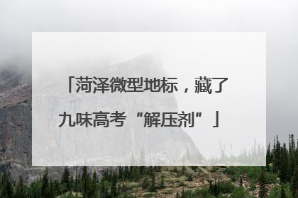 菏泽微型地标，藏了九味高考“解压剂”