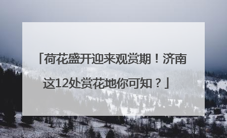 荷花盛开迎来观赏期！济南这12处赏花地你可知？