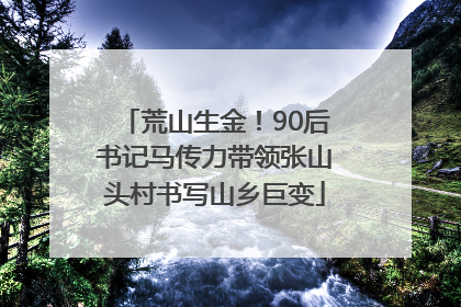 荒山生金！90后书记马传力带领张山头村书写山乡巨变