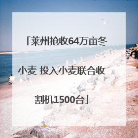 莱州抢收64万亩冬小麦 投入小麦联合收割机1500台
