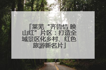 莱芜“齐鲁情 映山红”片区：打造全域景区化乡村、红色旅游新名片