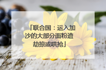 联合国：运入加沙的大部分面粉遭劫掠或哄抢
