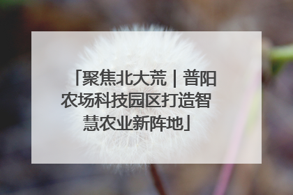 聚焦北大荒｜普阳农场科技园区打造智慧农业新阵地