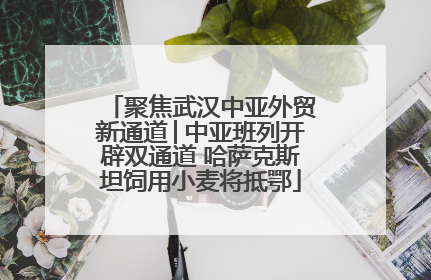 聚焦武汉中亚外贸新通道│中亚班列开辟双通道 哈萨克斯坦饲用小麦将抵鄂