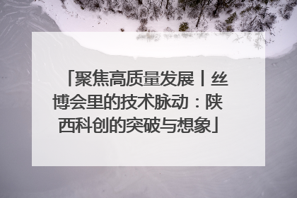 聚焦高质量发展丨丝博会里的技术脉动：陕西科创的突破与想象