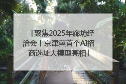 聚焦2025年廊坊经洽会丨京津冀首个AI招商选址大模型亮相
