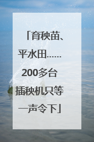 育秧苗、平水田……200多台插秧机只等一声令下