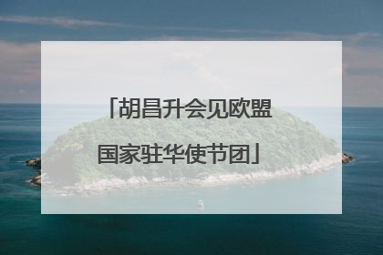 胡昌升会见欧盟国家驻华使节团