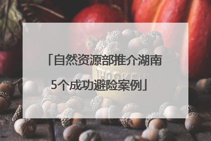自然资源部推介湖南5个成功避险案例