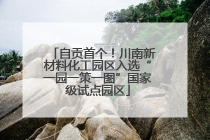 自贡首个！川南新材料化工园区入选“一园一策一图”国家级试点园区