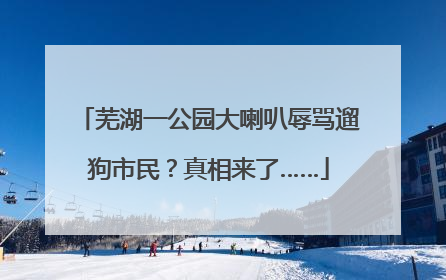芜湖一公园大喇叭辱骂遛狗市民？真相来了……