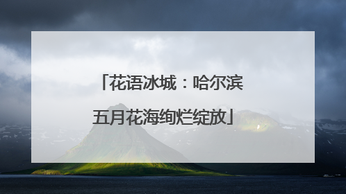 花语冰城：哈尔滨五月花海绚烂绽放