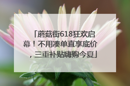 蘑菇街618狂欢启幕！不用凑单直享底价，三重补贴嗨购今夏