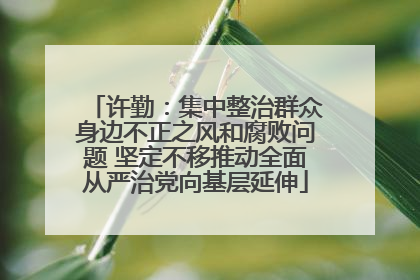 许勤：集中整治群众身边不正之风和腐败问题 坚定不移推动全面从严治党向基层延伸